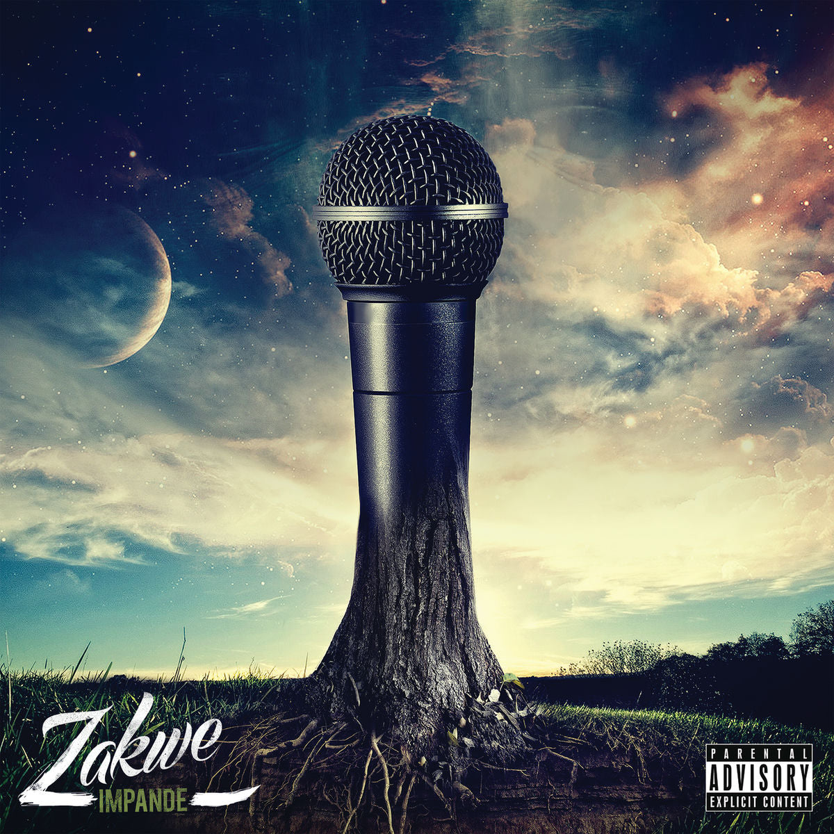 IMPANDE 10 YEAR ANNIVERSARY 2025